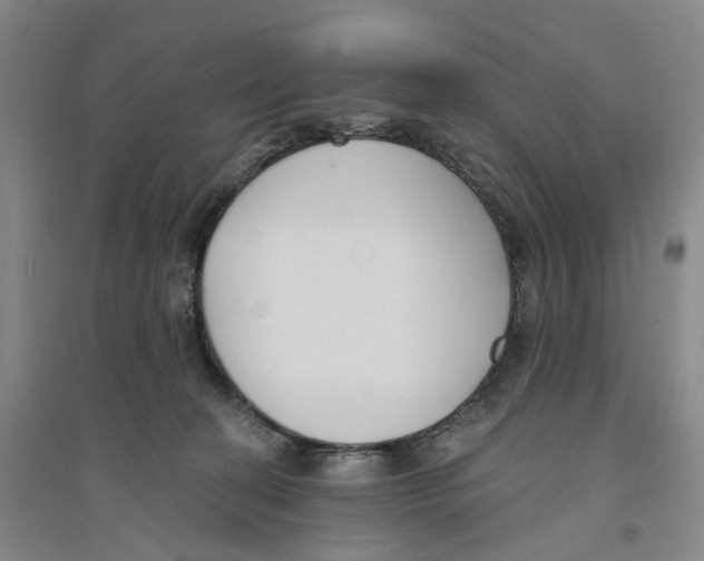 X0000094070274200711161554