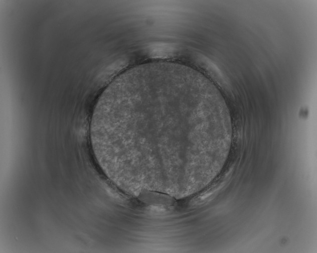 X0000094070277200711161554