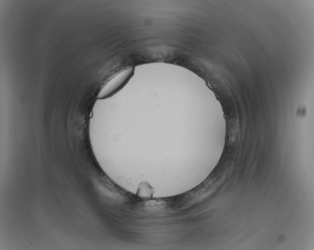 X0000094070279200711161554