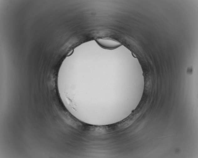 X0000094070282200711161554