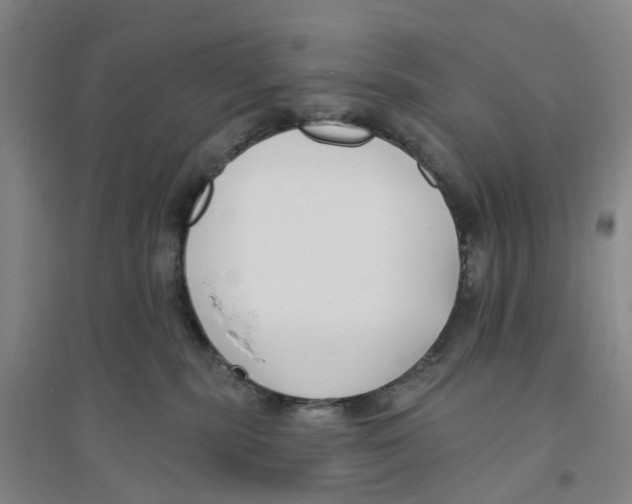X0000094070283200711161554