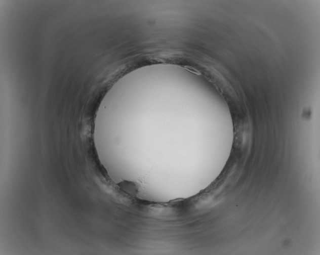 X0000094070284200711161554