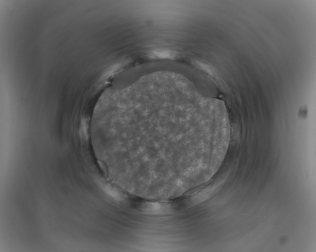 X0000094070286200711161554