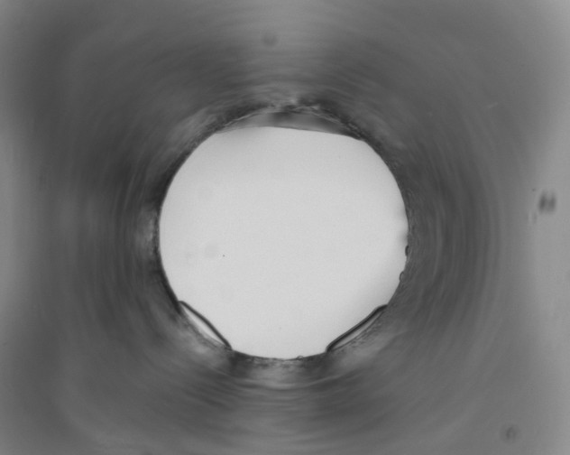 X0000094070288200711161554