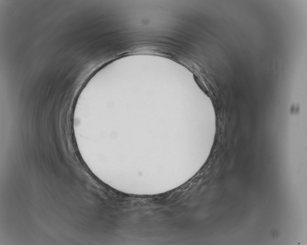 X0000094070289200711161553