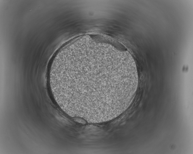X0000094070290200711161553