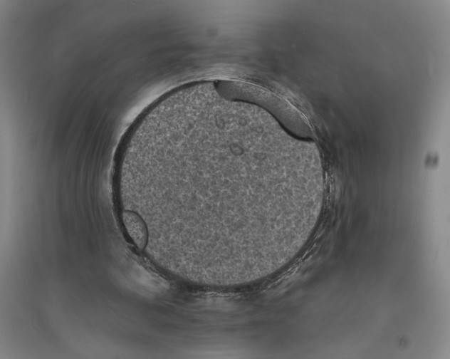 X0000094070292200711161553