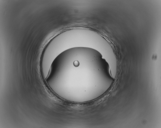 X0000094070293200711161553