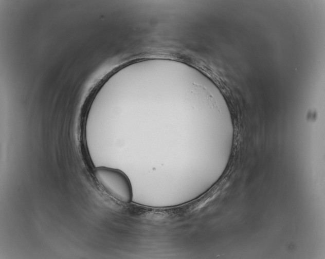 X0000094070294200711161553