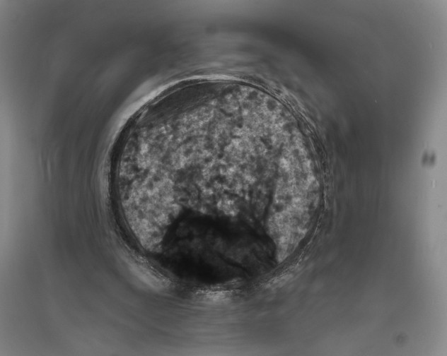 X0000094070295200711161553
