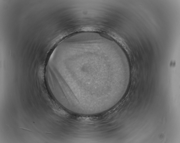 X0000094070297200711161553