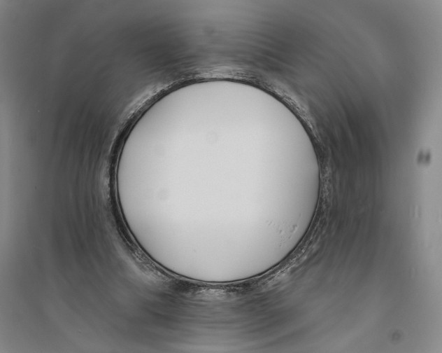 X0000094070298200711161553