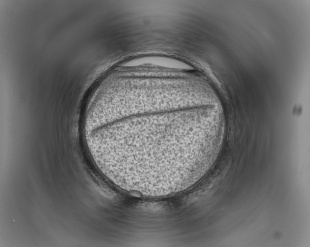 X0000094070299200711161553