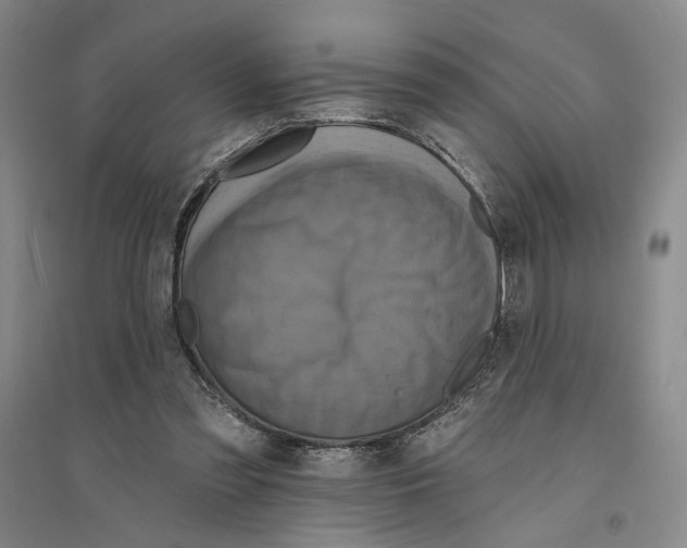X0000094070301200711161553