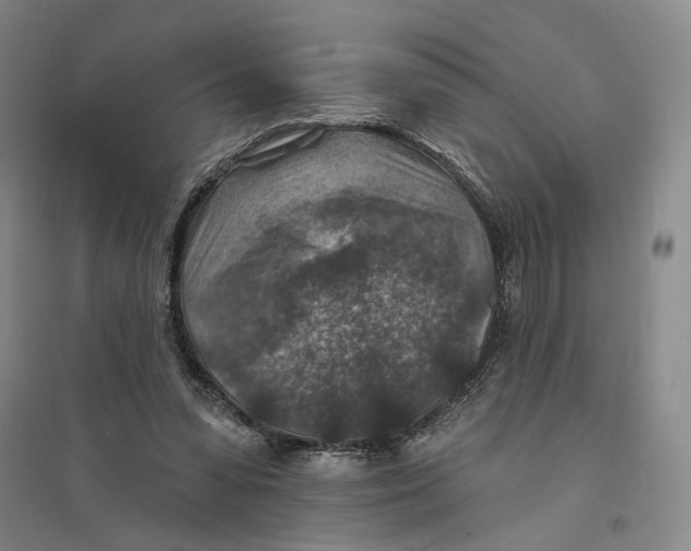 X0000094070303200711161553