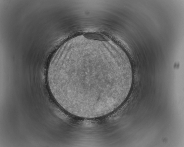 X0000094070305200711161553