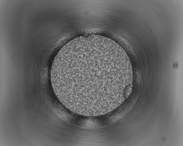 X0000094070308200711161553