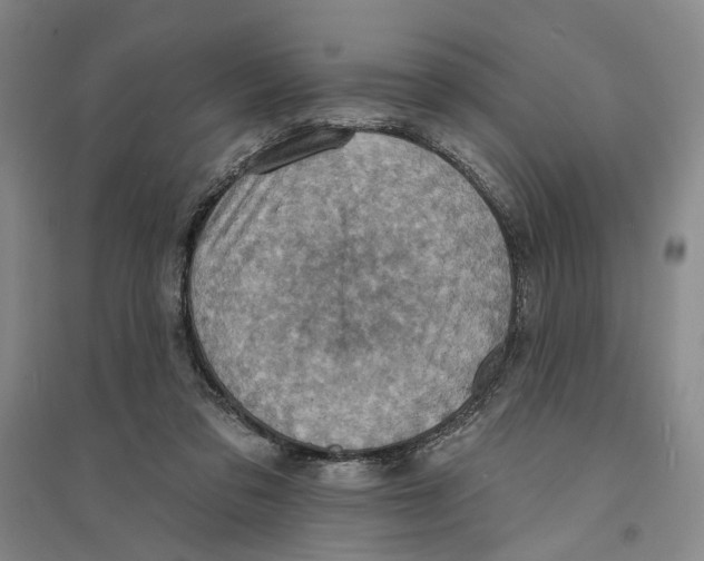 X0000094070309200711161553