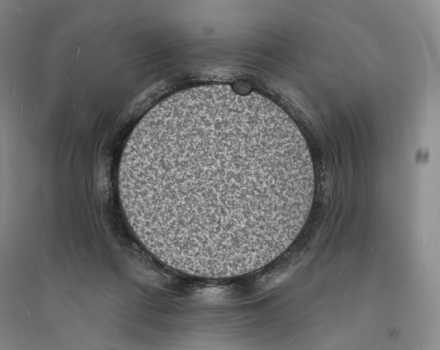 X0000094070312200711161553