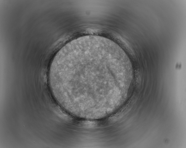 X0000094070313200711161553