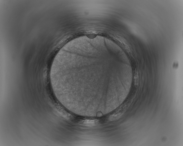 X0000094070314200711161553