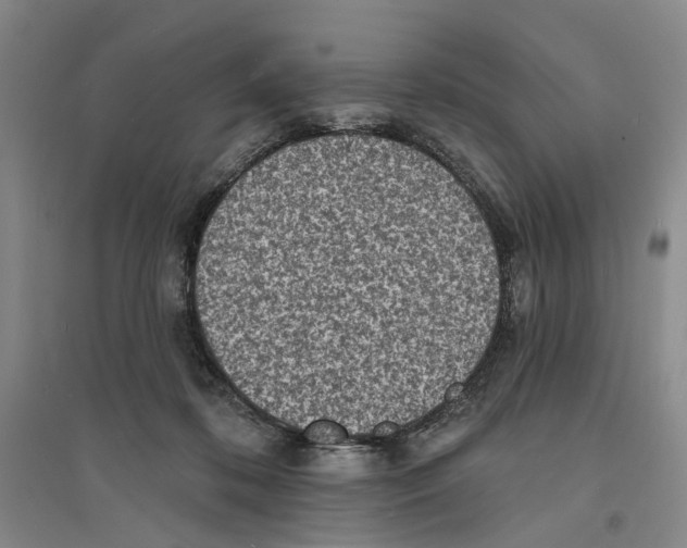 X0000094070316200711161553