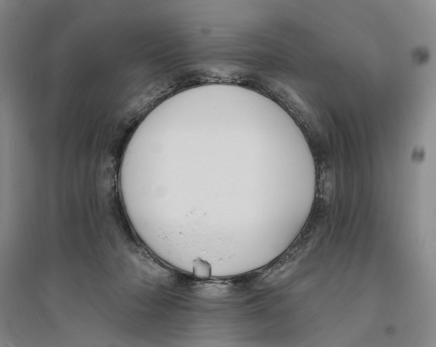 X0000094070318200711161553