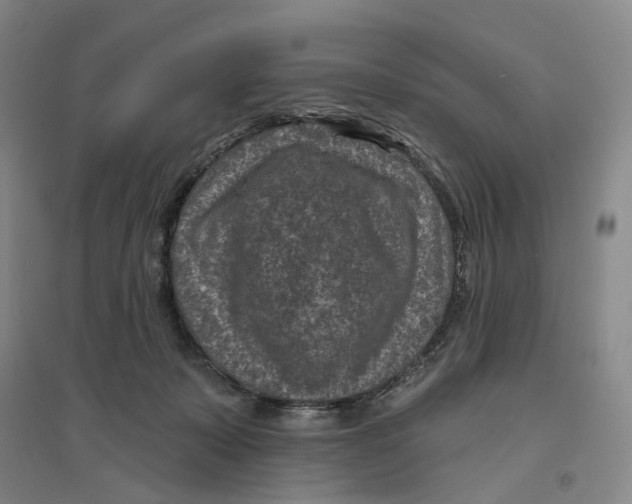 X0000094070319200711161553