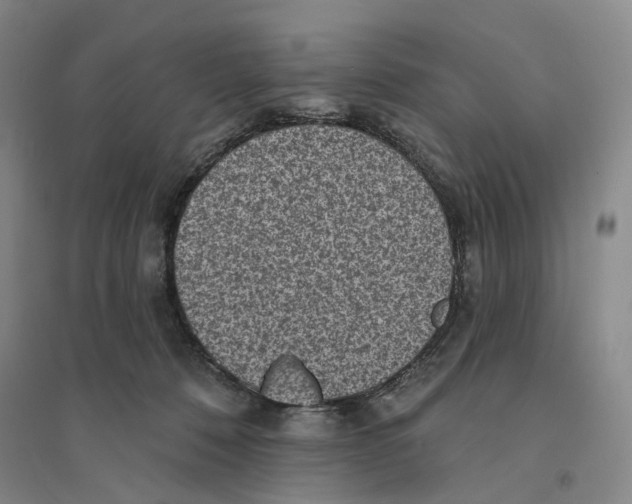 X0000094070320200711161553