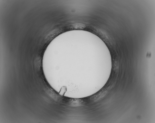 X0000094070321200711161553