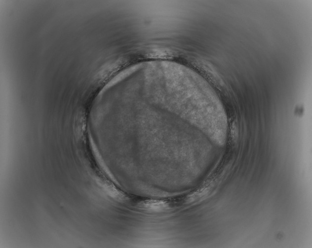 X0000094070322200711161553