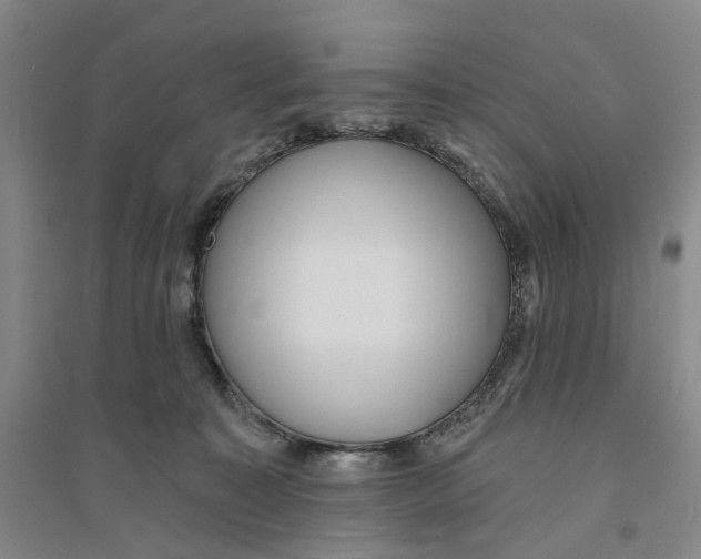X0000094070323200711161553