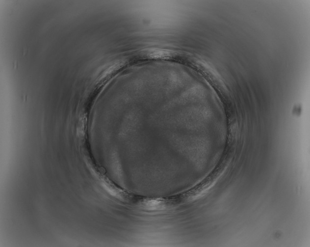 X0000094070325200711161553