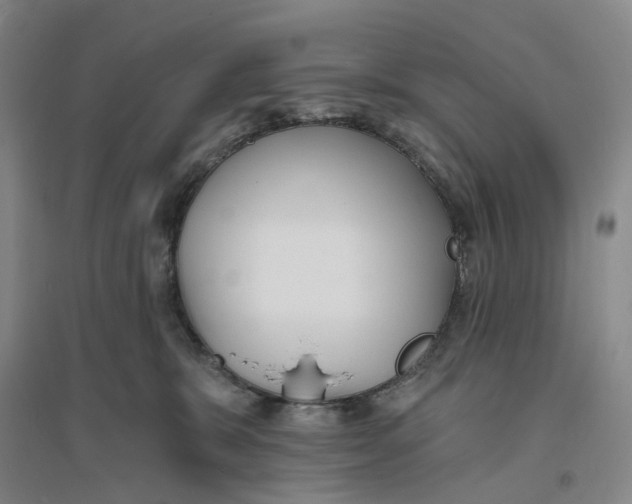 X0000094070327200711161553