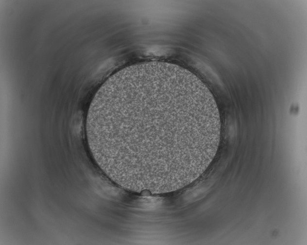 X0000094070328200711161553