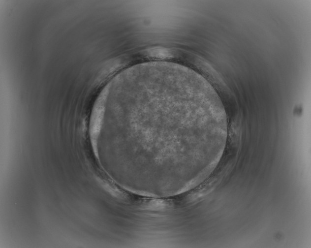 X0000094070330200711161553