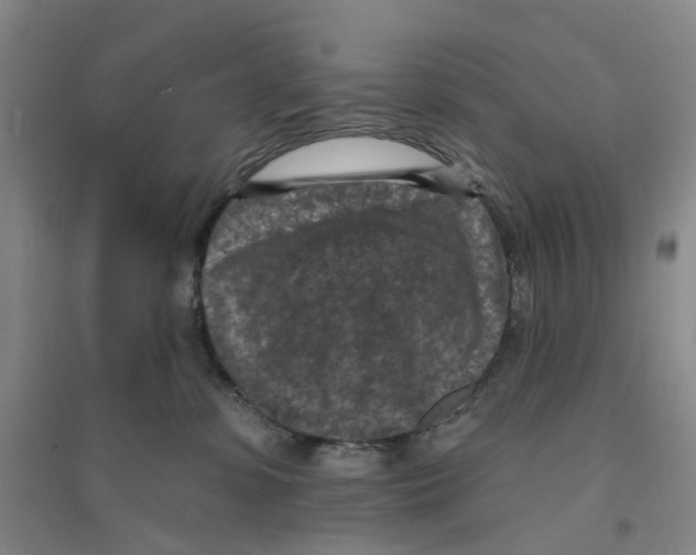 X0000094070331200711161553