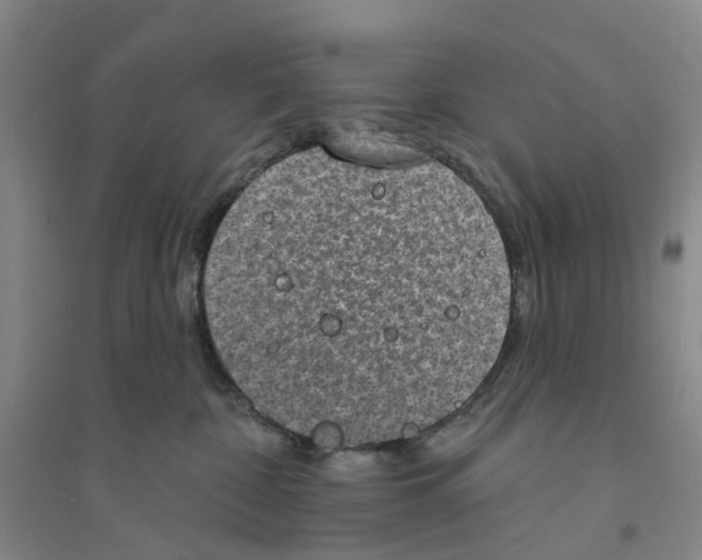 X0000094070332200711161553