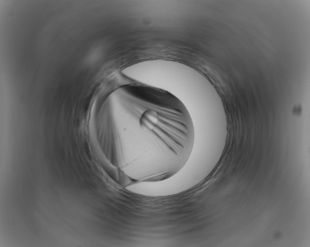 X0000094070333200711161553
