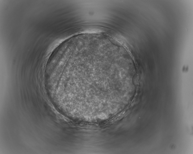 X0000094070337200711161552