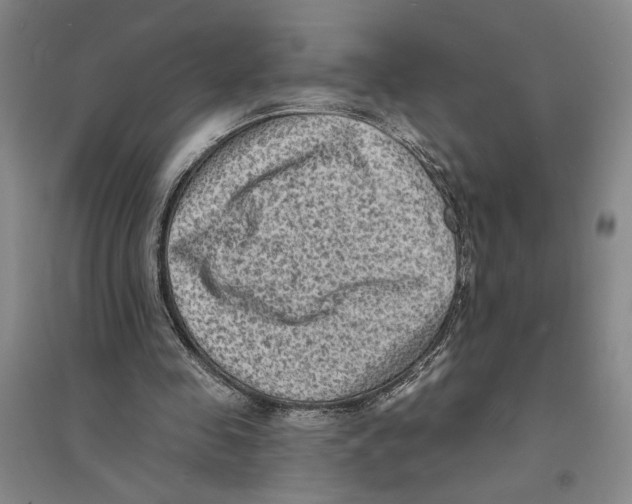 X0000094070341200711161552