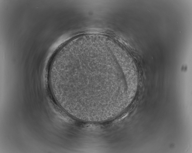 X0000094070343200711161552