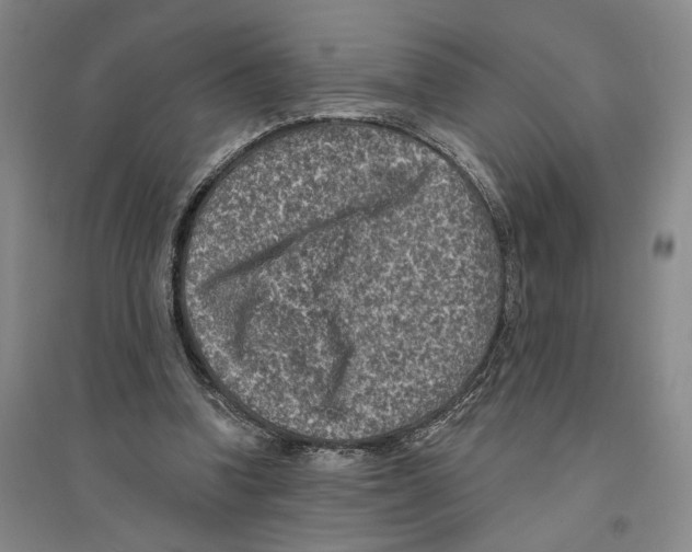X0000094070346200711161552