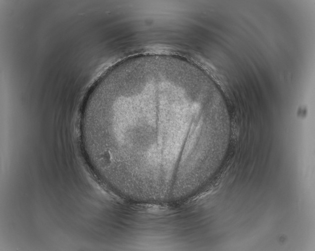 X0000094070347200711161552