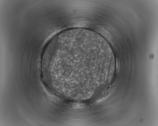 X0000094070348200711161552