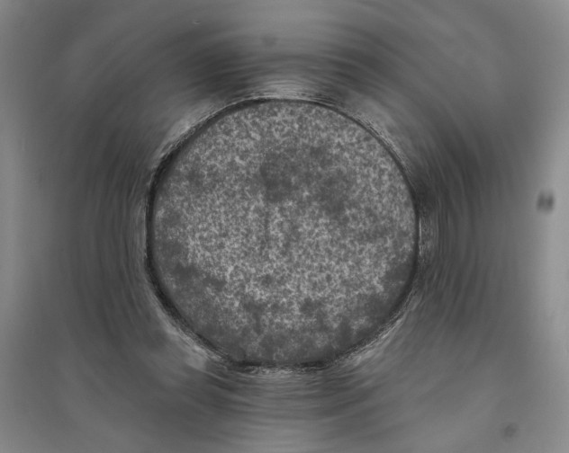 X0000094070349200711161552