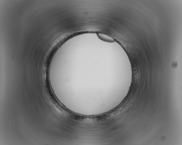 X0000094070350200711161552