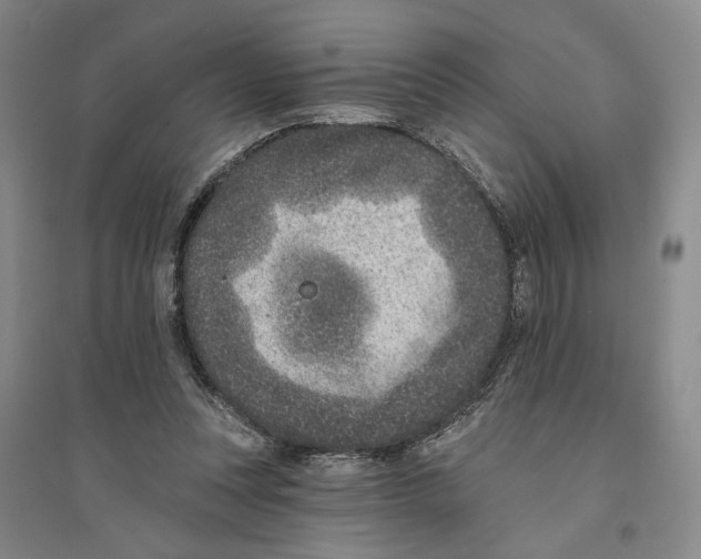 X0000094070351200711161552
