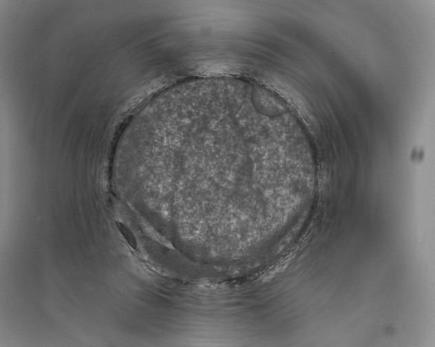 X0000094070353200711161552