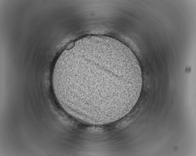 X0000094070354200711161552